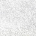 White Leather
